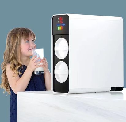 Purificateur d'eau domestique à charbon actif PPC RO Filtre à eau sous évier sans réservoir